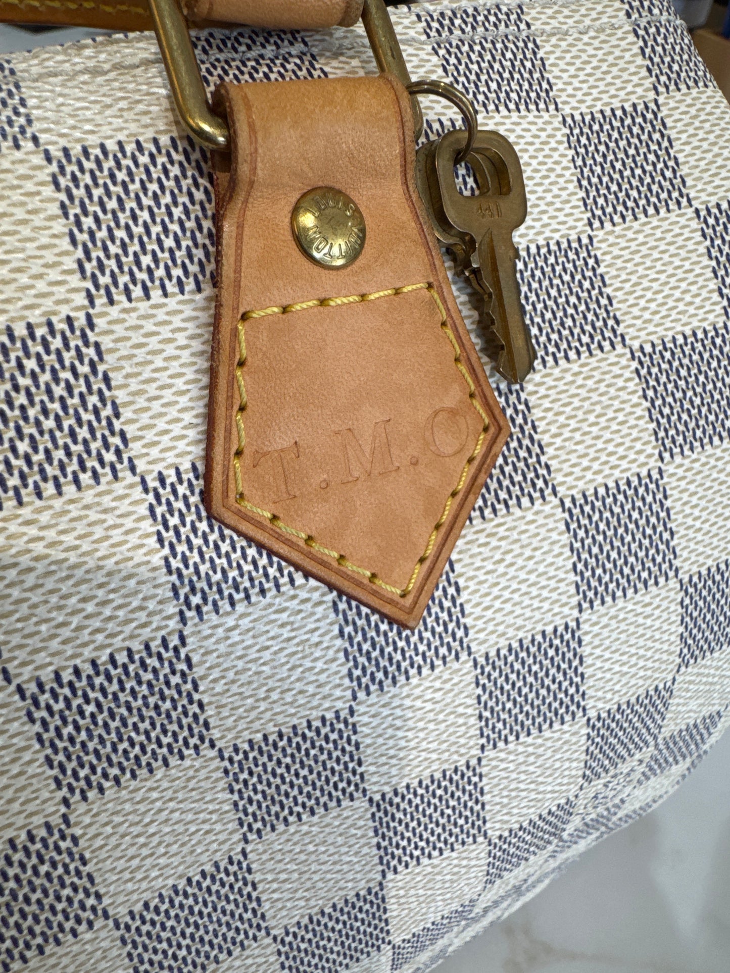 Louis Vuitton Speedy 25 Azur