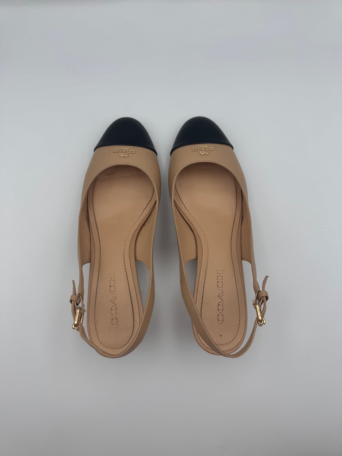 COACH Erica Slingbacks Size 10