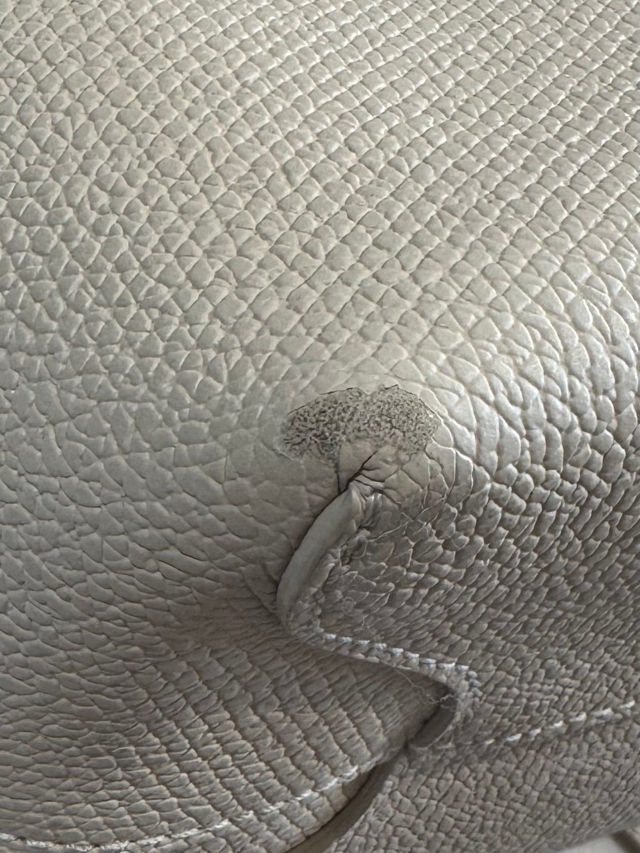 Longchamp Le Roseau Medium in Cream Handbag