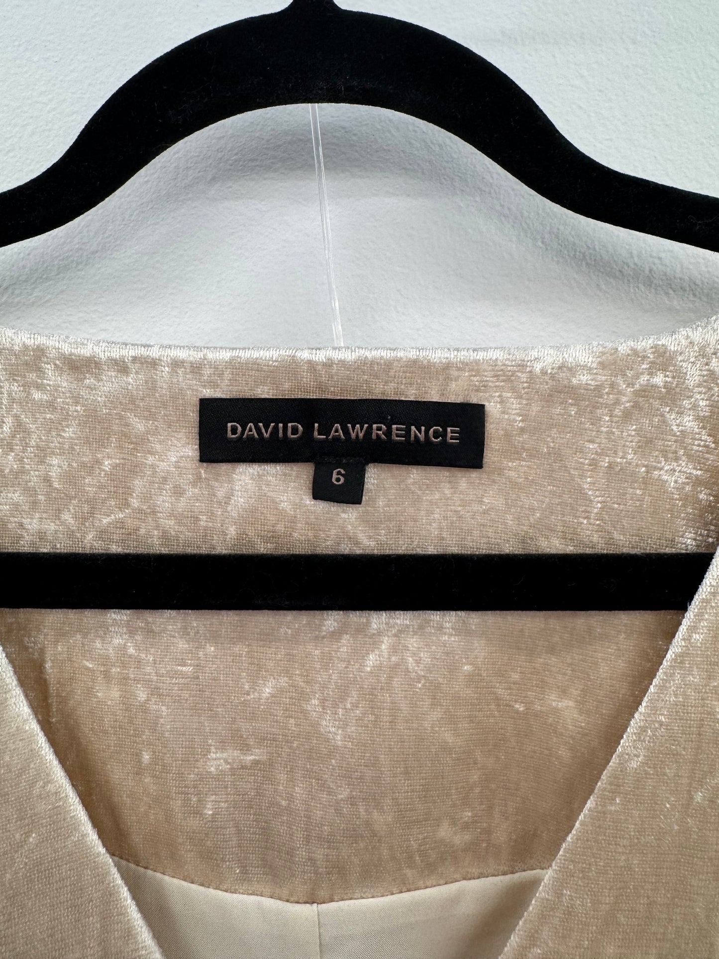 David Lawrence Cream Velvet Dress - Size 6