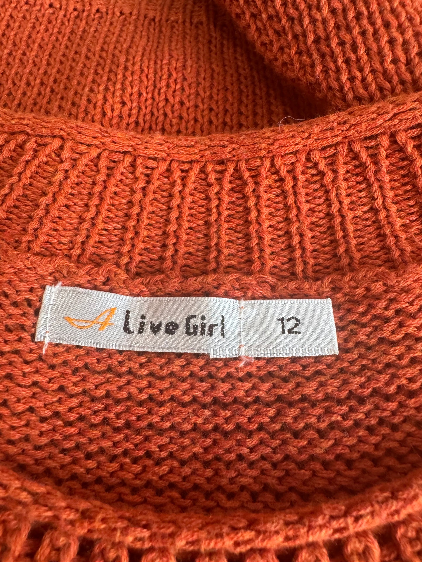 Alivegirl Rust Knit Top - size 12